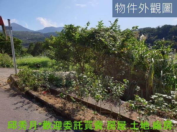 三芝農地-0