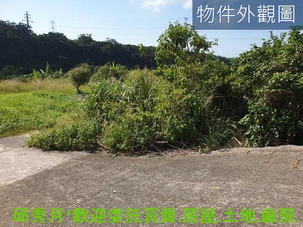 三芝農地-4