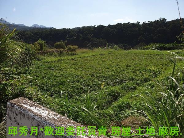 三芝農地-5