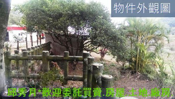 三芝農地-9