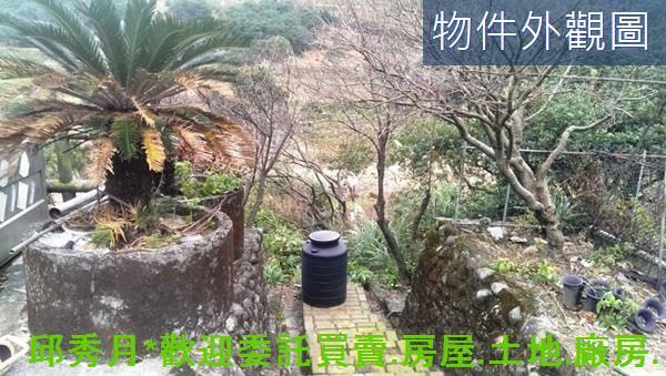三芝農地-11