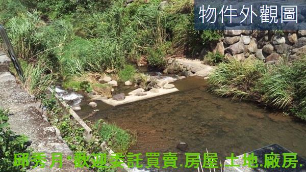 三芝農地-12