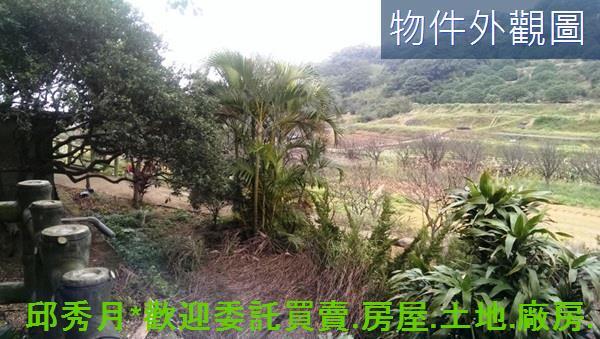 三芝農地-8
