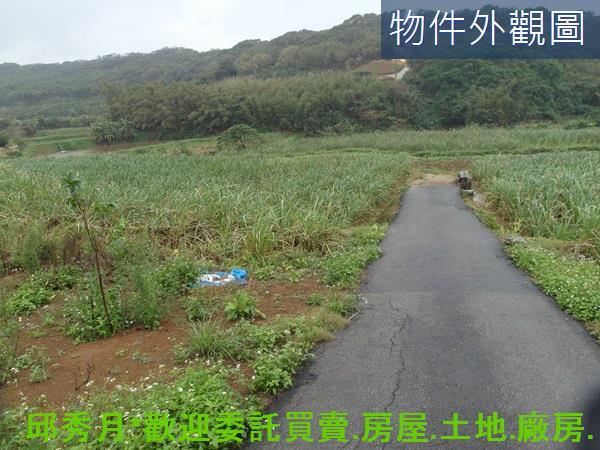 三芝農地-0