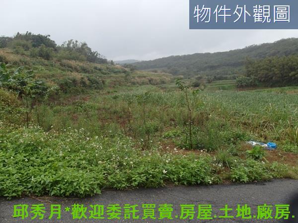 三芝農地-1
