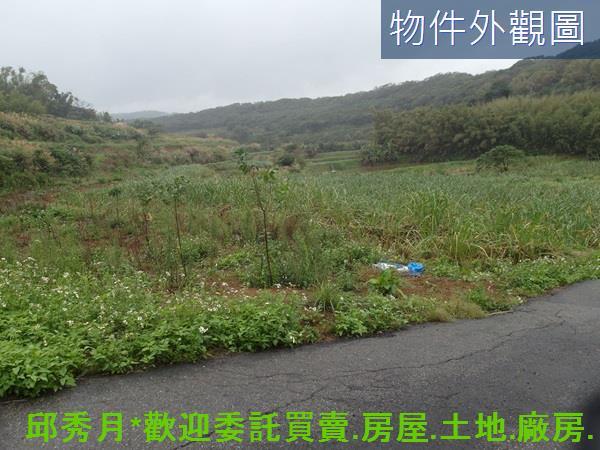 三芝農地-2