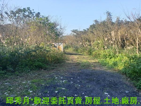 三芝農地-2