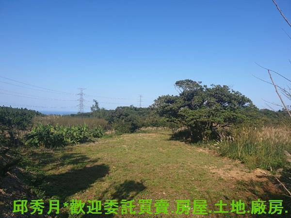 三芝農地-3