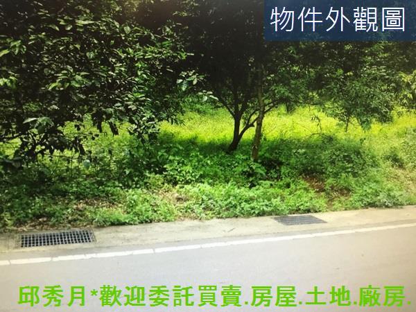 新北農地-0