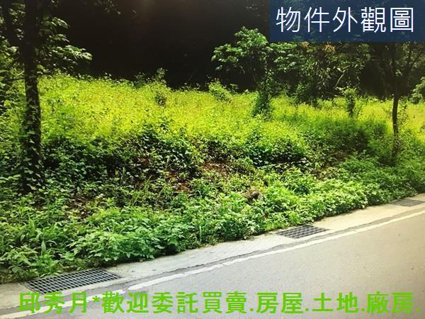 新北農地-1