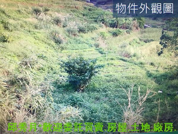 新北農地-1