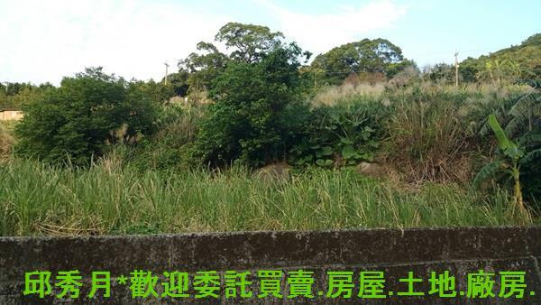新北農地-2