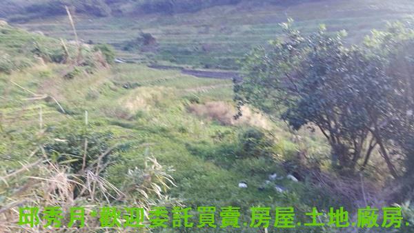 新北農地-3