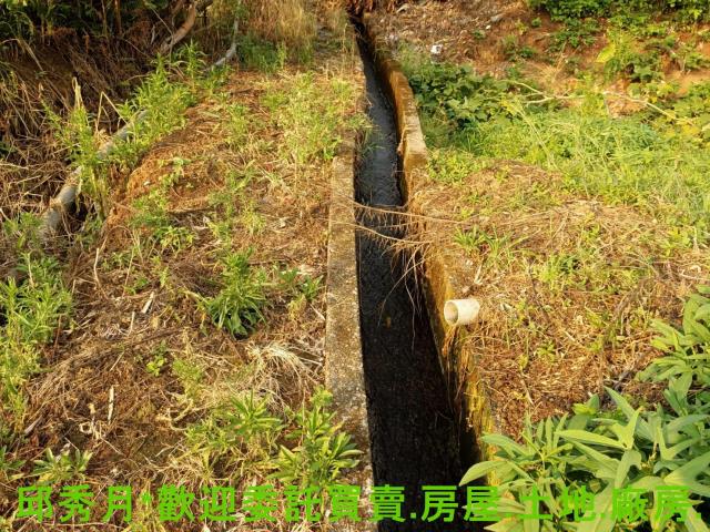 淡水農地-1