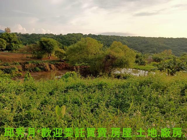 淡水農地-2