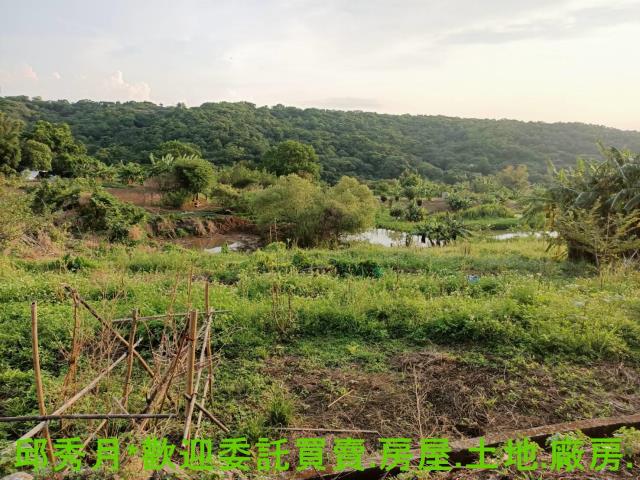 淡水農地-6