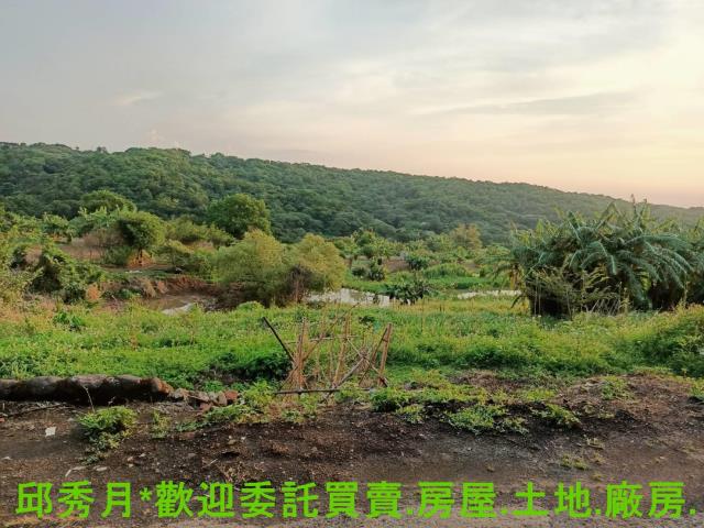 淡水農地-7