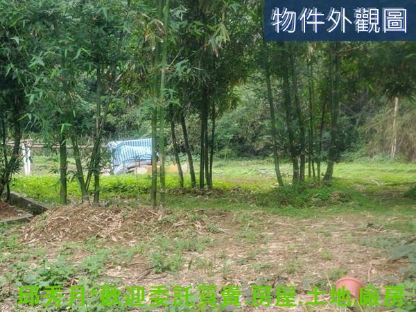 萬里建地-2
