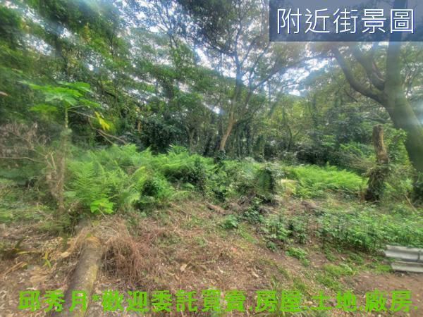 淡水農地-3