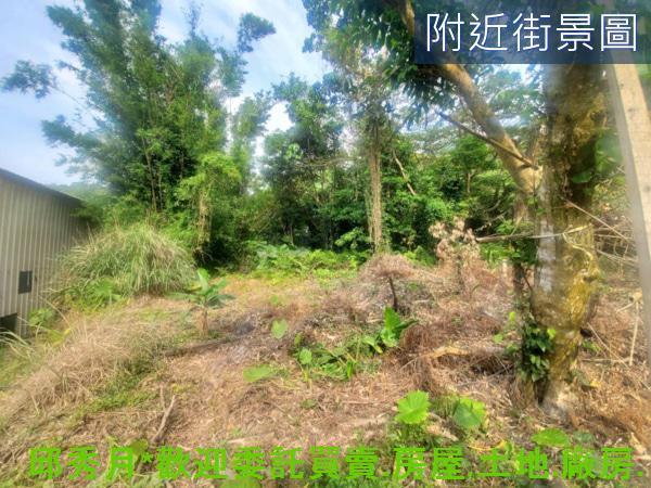 淡水農地-4