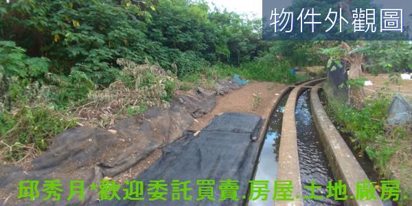 新北農地-2