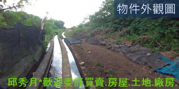 新北農地-4