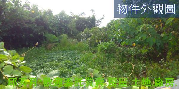 新北農地-7