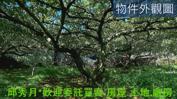 新北其他-1