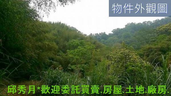 新北其他-2
