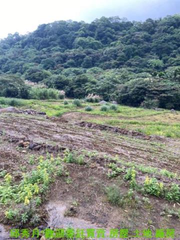 新北農地-4