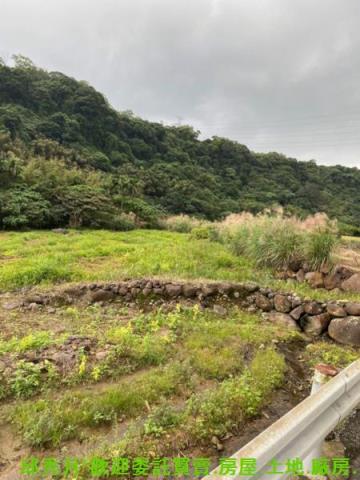 新北農地-5