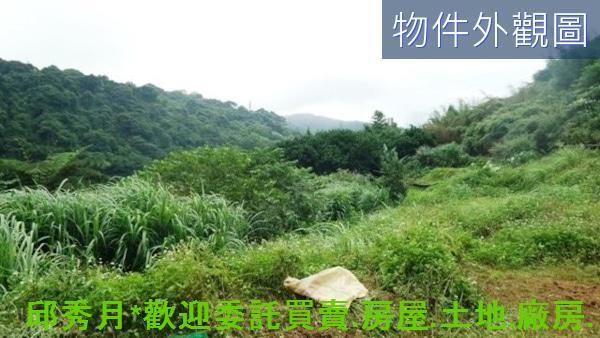 新北農地-9