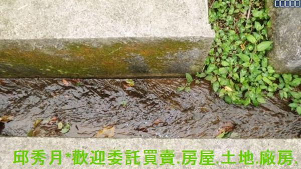 新北農地-11