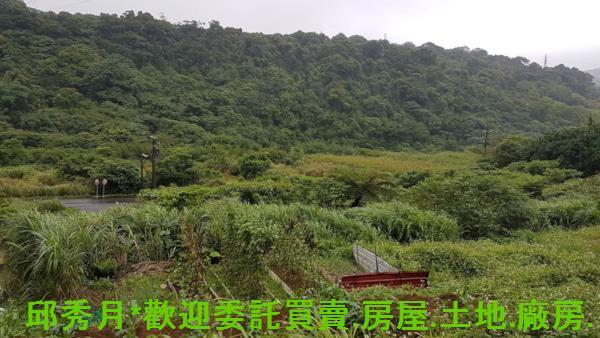新北農地-13