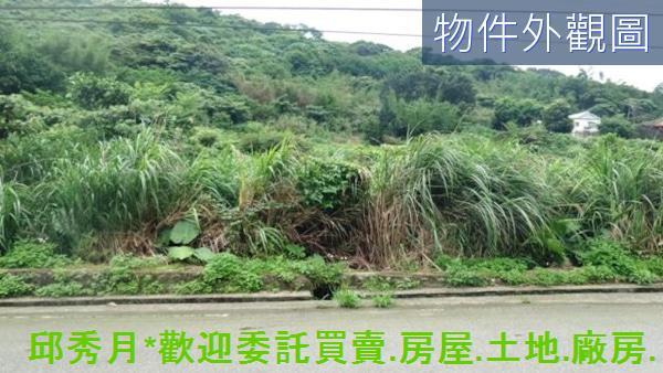 新北農地-0