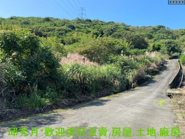新北農地-6