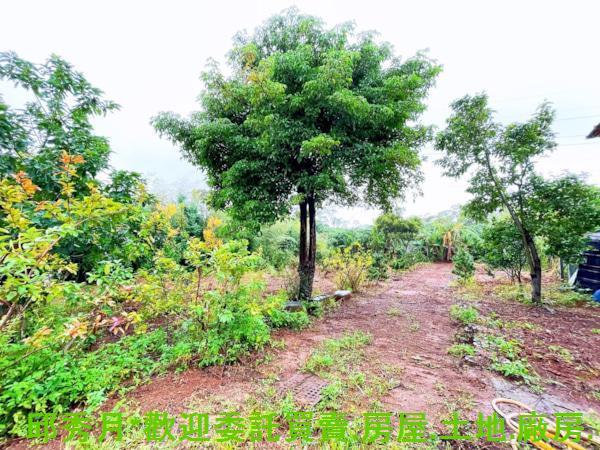 新北其他-2