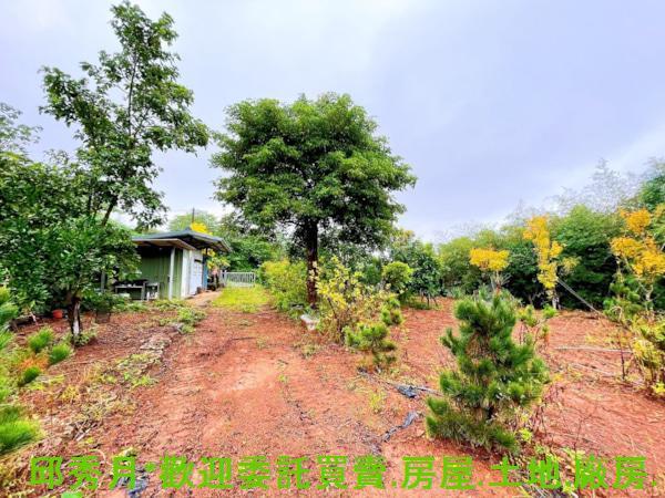 新北其他-6