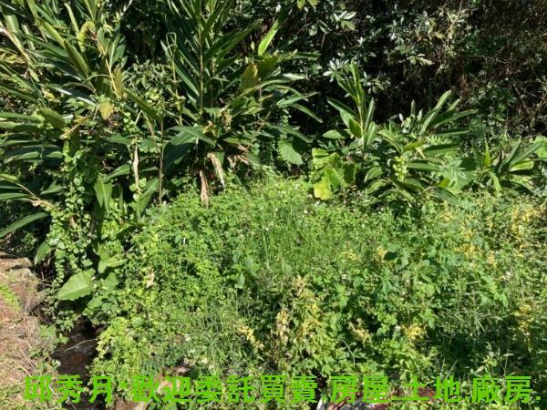 新北三芝都市計畫內-1