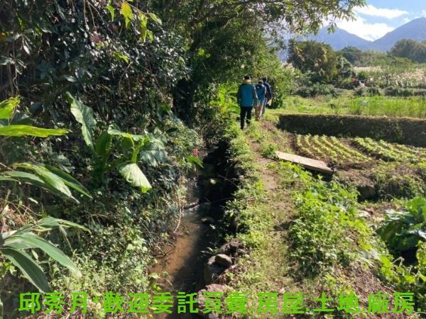 新北三芝都市計畫內-2