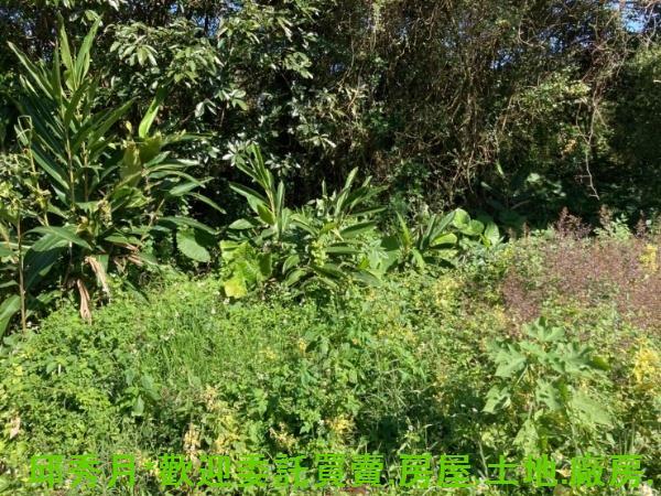 新北三芝都市計畫內-5