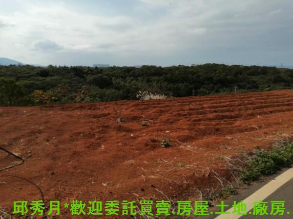 新北淡水農地-2
