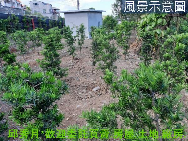 新北淡水農地-1