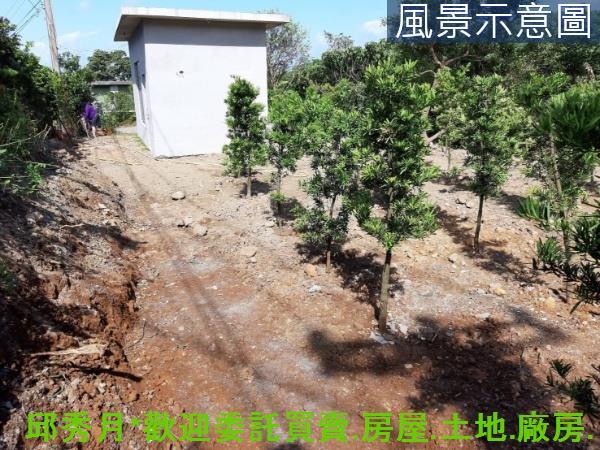 新北淡水農地-2