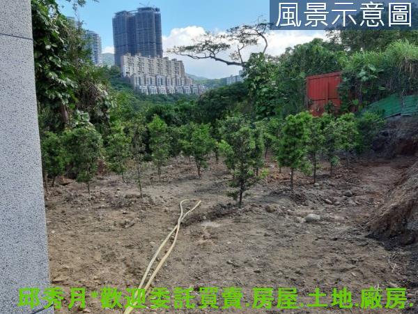 新北淡水農地-3