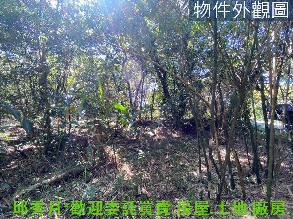 新北淡水農地-10