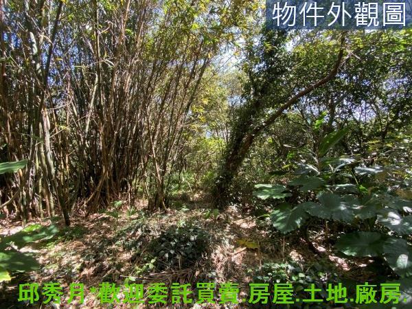 新北淡水農地-11
