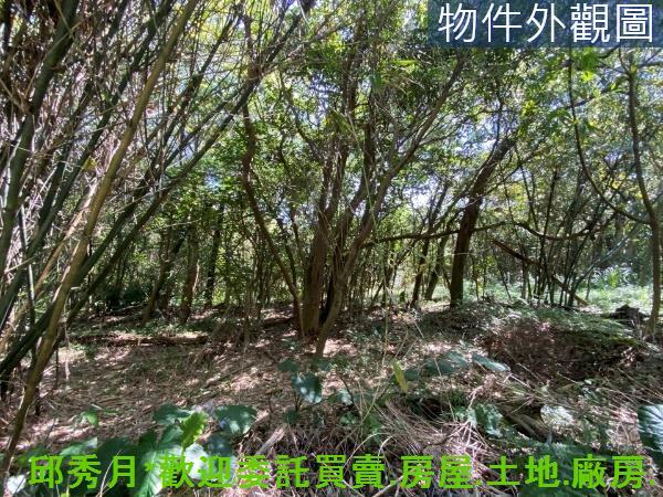 新北淡水農地-2