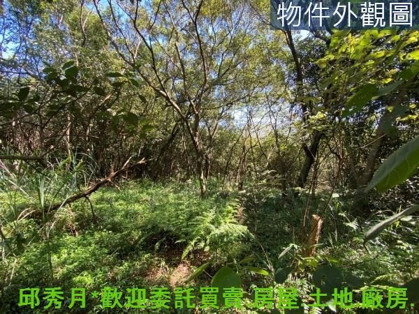 新北淡水農地-4
