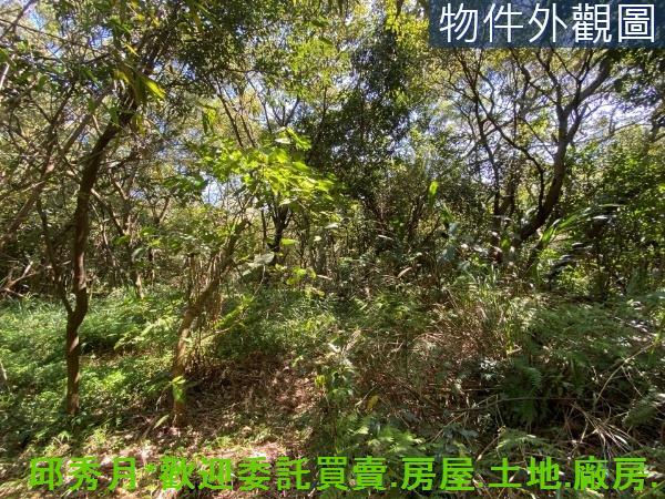 新北淡水農地-5
